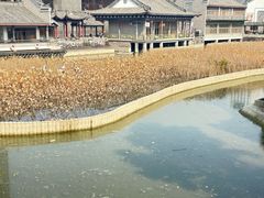 -龙潭水乡