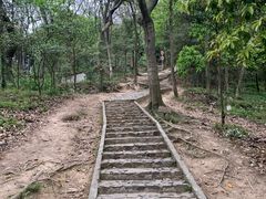 -上海佘山国家森林公园天马山园