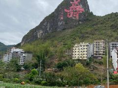 -长寿村