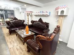 -青奢宠物·青奢猫舍