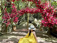-七仙岭温泉国家森林公园