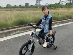-王借岗森林公园