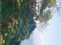 -美人鱼悬崖海景餐厅(鹿嘴山庄店)