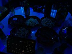 -欢乐迪氧吧KTV(大渡口步行街店)