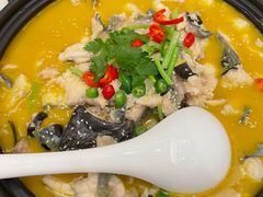 -鲁宴·鲁煨黄河生态大鲤鱼(月坛店)