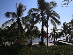 -日落吧·海景咖啡厅·餐酒吧·鸡尾酒·下午茶·乐队表演·浪漫夕阳·三亚文华东方酒店
