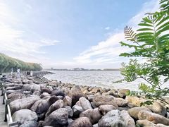 -上海吴淞炮台湾国家湿地公园