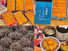 -鮨乐亭Omakase·海胆宴