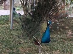 -仙芝竹尖生态园旅游景区