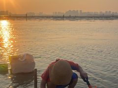 -红树林天天赶海