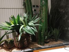 -虾佬圣汤·海鲜姿造(乐堤港店)