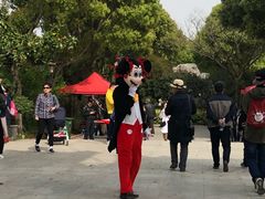 -南汇桃花村