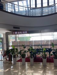 -上海市嘉定区妇幼保健院