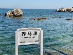 -养马岛旅游度假区