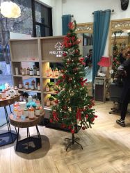 -渼树MSUTREE连锁沙龙