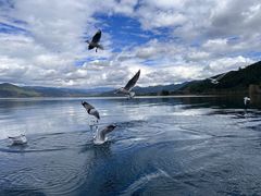 -丽江泸沽湖景区