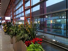 -首都机场T3航站楼商务CIP贵宾厅