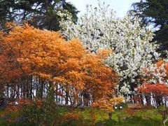 -共青国家森林公园-售票处