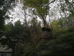 -渣滓洞