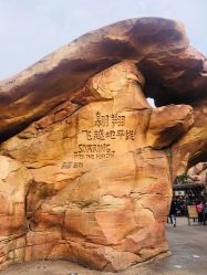 -翱翔飞越地平线