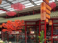 -老山东·山东菜(鲁菜名店)