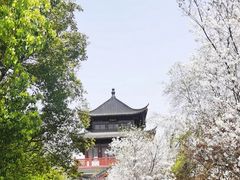 -堤角公园