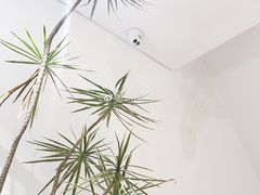 -Badmarket(庙前西街店)