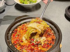 -沈灶河豚宴·河豚融合餐厅(汉中路店)