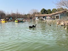 -无锡动物园·太湖欢乐园