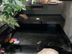 -沅江水·湖南家宴(南村万博长隆商圈店)