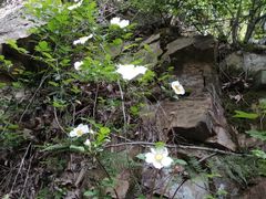 -宝岩生态观光园