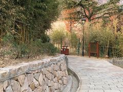 -竹子庵公园