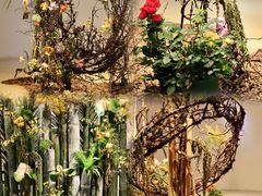 -人民公园(罗湖区)