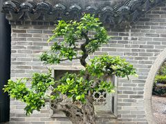 -中山詹园