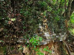 -上海佘山国家森林公园西佘山园