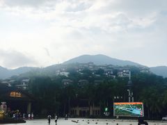 -呀诺达热带雨林