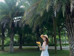 -三亚亚龙湾红树林度假酒店