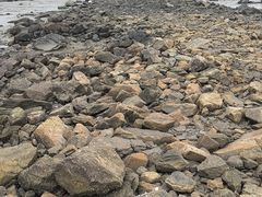 -连云港金陵海州湾会议中心
