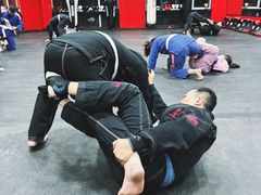-极斗-IKMF马伽术·格斗运动学院(东直门店)