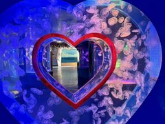 -左海海底世界
