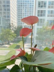 -变画·发型STUDIO