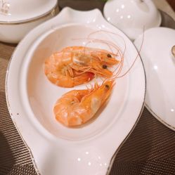 -安雅国际月子会所(拱北森宇富通店)