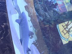 -呼和浩特博物馆