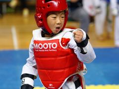 -陈中跆拳道(中关村馆)