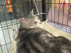 -谜盒子奇幻密室(南屏店)