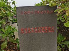 -临高角