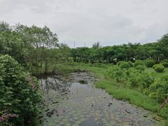 -白沙门生态公园