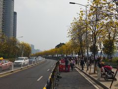 -新榕记滨江壹號