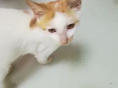 -瑞鹏宠物医院·宠保定点·心脏科·内科(御桥分院)