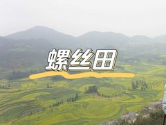-牛街螺丝田
